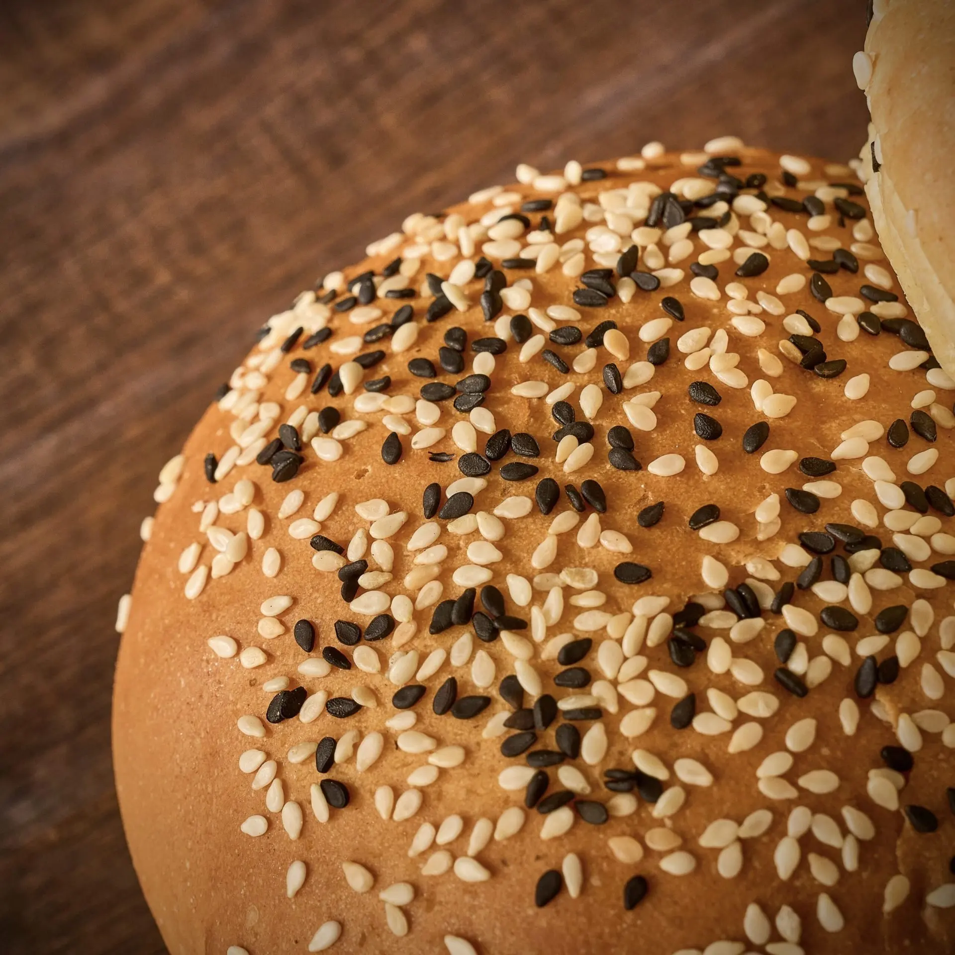 seeded hamburger buns