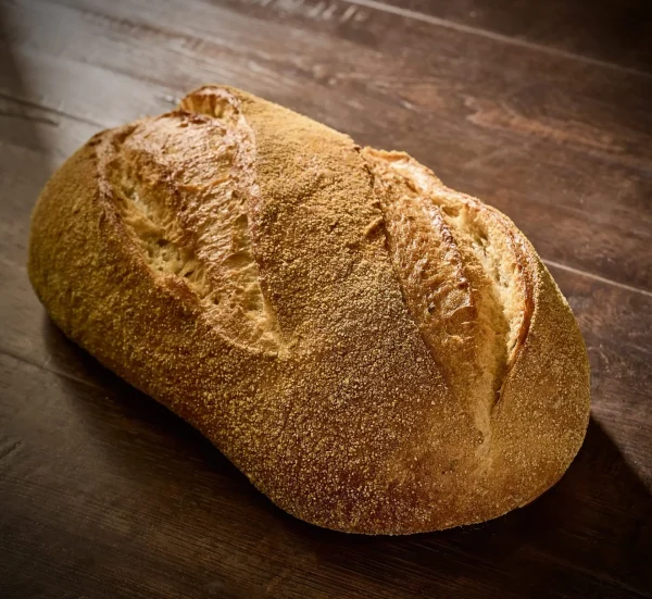 Corn Rye scaled