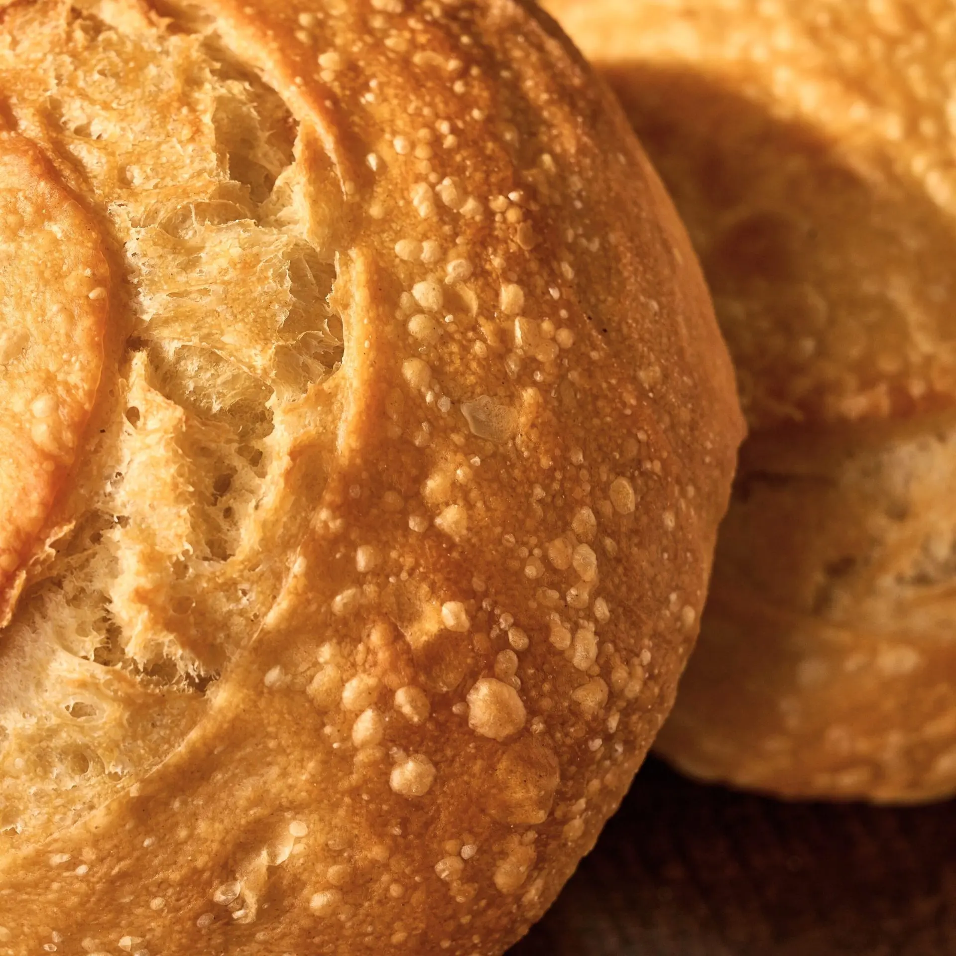 Sourdough soup boules